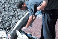 男子与列车相撞去世,死人允许坐火车吗？