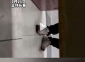 女子公厕遭男子偷窥,公厕女孩