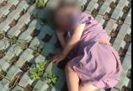 男孩从22楼窗台坠落,男孩从22楼窗台坠落视频