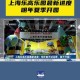 上海乐高乐园试运营,上海乐高乐园由谁承建？
