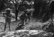 11名特种兵遭俄击毙,1939年11月 台儿庄战役 是八路军击毙日军最高将领的战役？