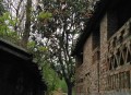 老人上树摘枇杷被困,乐山：小区枇杷熟了该咋办？有人采摘有人阻拦，还闹到了派出所, 你怎么看？