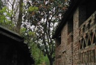 老人上树摘枇杷被困,乐山：小区枇杷熟了该咋办？有人采摘有人阻拦，还闹到了派出所, 你怎么看？