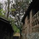 老人上树摘枇杷被困,乐山：小区枇杷熟了该咋办？有人采摘有人阻拦，还闹到了派出所, 你怎么看？