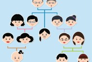 孙子比儿子大3岁,奶奶和孙子是直系亲属吗？