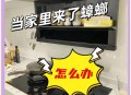 全季酒店出现蟑螂,全季酒店蟑螂怎么处理
