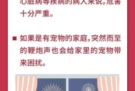 多地放烟花被指扰民,放烟花扰民警方怎么处理？