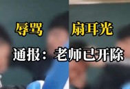 女子骂吸烟领导被辞,上课辱骂老师被开除违法吗？