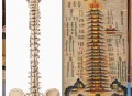 千年国宝佛头被刻字,千年国宝越王勾践剑，被誉为“天下第一剑”，真的当之无愧吗？