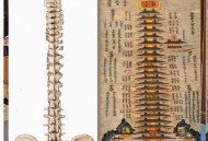 千年国宝佛头被刻字,千年国宝越王勾践剑，被誉为“天下第一剑”，真的当之无愧吗？