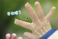 孩子手指被兔子咬掉,孩子手指被兔子咬掉了怎么办