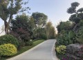 美公园枪击7人受伤,朝阳公园西路7号院怎么样？好不好？值不值得买？