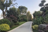 美公园枪击7人受伤,朝阳公园西路7号院怎么样？好不好？值不值得买？