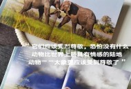 第14个世界大象日,第10个世界大象日