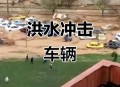暴雨中被司机扔半路,暴雨中被司机扔半路怎么办