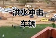 暴雨中被司机扔半路,暴雨中被司机扔半路怎么办