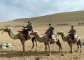 敦煌鸣沙山又堵骆驼,鸣沙山月牙泉如何骑骆驼？