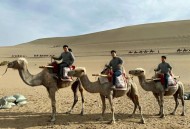 敦煌鸣沙山又堵骆驼,鸣沙山月牙泉如何骑骆驼？