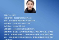 悬赏10万寻失联男子,安徽16岁少年涉重大刑事案件在逃，警方为什么悬赏10万缉凶？