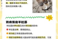 吃羊胎盘染致命细菌,羊为什么吃自己的胎盘？