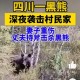 村民遭黑熊袭击昏迷,村民遭黑熊袭击昏迷视频