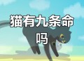 猫咪从16楼意外坠落,猫咪16岁相当于人几岁？