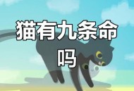 猫咪从16楼意外坠落,猫咪16岁相当于人几岁？
