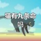 猫咪从16楼意外坠落,猫咪16岁相当于人几岁？