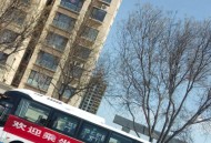 山西载12人中巴失联 ,山西巴士