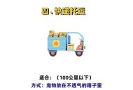 中国小猫被运到美国,9月初要去美国读书，国内也没法直飞去那边，猫咪托运找tb要一万五一只，太贵了，有别的办法吗？