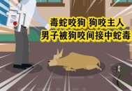 被蛇咬两年仍后遗症,被邻居家狗咬了需要后遗症协议吗？