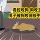 被蛇咬两年仍后遗症,被邻居家狗咬了需要后遗症协议吗？