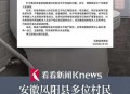 遭冒领多个国家补贴,冒领良田补贴怎么处罚？