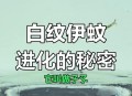 北方省出现白纹伊蚊,白纹伊蚊是害虫还是益虫？