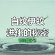 北方省出现白纹伊蚊,白纹伊蚊是害虫还是益虫？