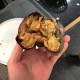 食堂供应转运筐生蛆,食堂供应转运筐生蛆怎么处理