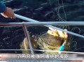 8岁男孩失联40多天,大连：父子俩出海下网捕鱼，40多岁的儿子不慎被渔网缠住失踪, 你怎么看？