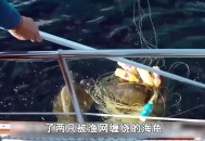8岁男孩失联40多天,大连：父子俩出海下网捕鱼，40多岁的儿子不慎被渔网缠住失踪, 你怎么看？