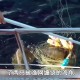 8岁男孩失联40多天,大连：父子俩出海下网捕鱼，40多岁的儿子不慎被渔网缠住失踪, 你怎么看？