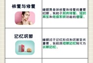睡眠不足者攻击性强,睡眠不足伤什么器官