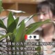 被前夫女儿盗走40万,被前夫女儿盗走40万怎么办
