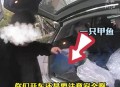 男孩坐后备箱数小时,甲鱼放后备箱一个多小时会憋死吗？