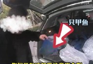男孩坐后备箱数小时,甲鱼放后备箱一个多小时会憋死吗？