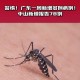 一地登革热疫情上升,一地登革热疫情上升了吗