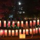 韩国申遗全面溃败,兵马俑韩国申遗结果？