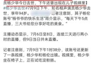 杨少华儿子回应争议,杨少华儿子多大了