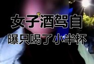 女销售陪酒后身亡,90后男子KTV聚会后醉驾身亡，法院判决KTV、陪酒女、朋友都要担责，你怎么看？