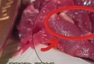 顾客发现桌上有蛆,顾客发现桌上有蛆怎么办