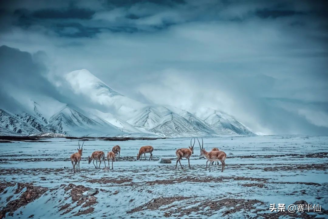 千万建10个厕所被查,为什么有人说:骑行新藏线,千万别到无人区废弃的厕所解手? 千万建10个厕所被查,为什么有人说:骑行新藏线,千万别到无人区废弃的厕所解手?