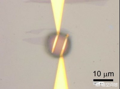 大阪世博会细菌超标,微流体石墨烯传感器如何检测微小样本中的细菌？